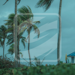 tormenta y logo lonas 2 300x300 1